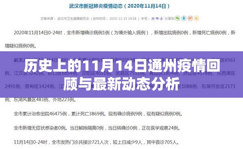 历史上的11月14日通州疫情回顾与最新动态分析