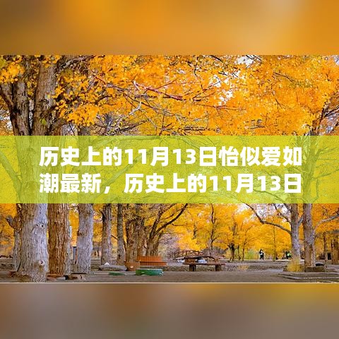 爱的潮汐涌动不息，历史上的11月13日回顾与纪念