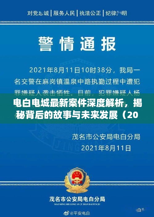 电白电城最新案件深度解析，揭秘背后的故事与未来发展（2024年11月）