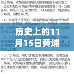 历史上的11月15日黄埔病例深度解析，最新病例回顾与洞察