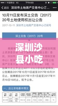 深圳沙县小吃转让最新指南，全流程步骤解析与转让信息速递