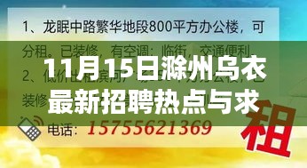 11月15日滁州乌衣最新招聘热点与求职指南