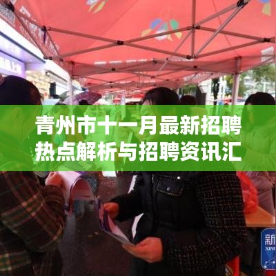 青州市十一月最新招聘热点解析与招聘资讯汇总