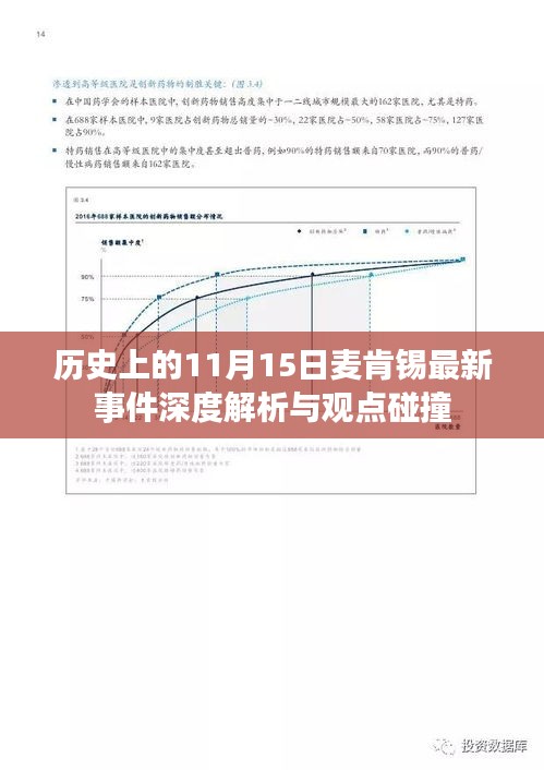 历史上的11月15日麦肯锡最新事件深度解析与观点碰撞