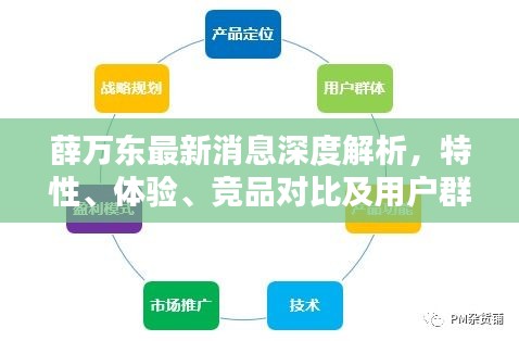 薛万东最新消息深度解析，特性、体验、竞品对比及用户群体分析