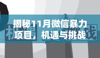 揭秘11月微信暴力项目，机遇与挑战的并存之战