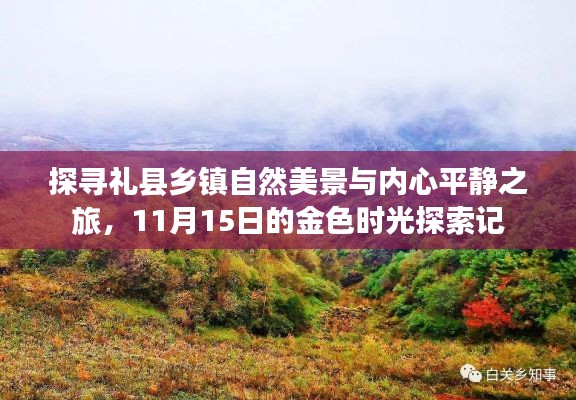 探寻礼县乡镇自然美景与内心平静之旅，11月15日的金色时光探索记