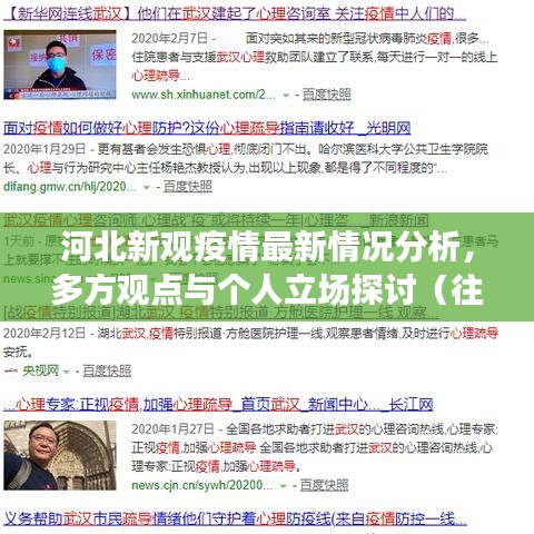 河北新观疫情最新情况分析，多方观点与个人立场探讨（往年11月15日数据）