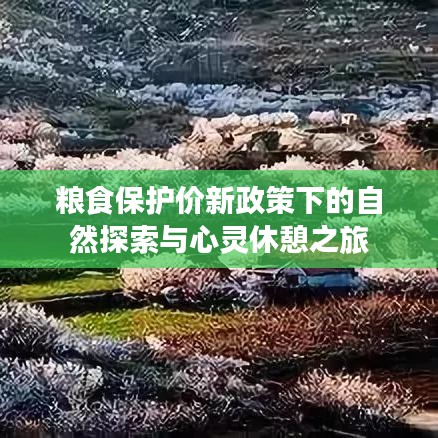 粮食保护价新政策下的自然探索与心灵休憩之旅