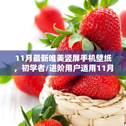 11月最新唯美竖屏手机壁纸制作攻略，初学者与进阶用户通用全指南