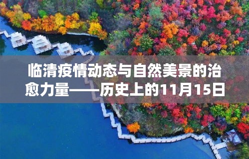 临清疫情动态与自然美景的治愈力量——历史上的11月15日回顾