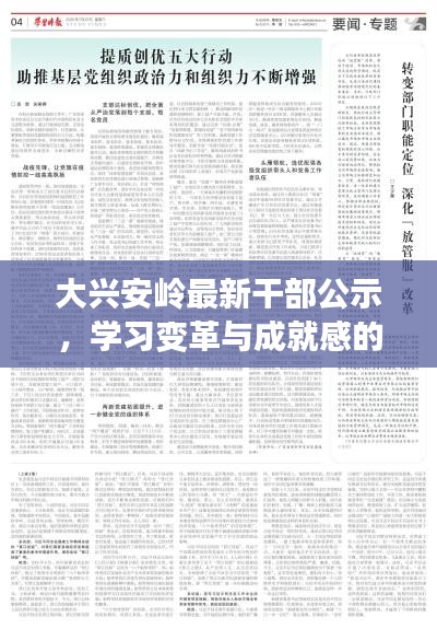 大兴安岭最新干部公示，学习变革与成就感的源泉