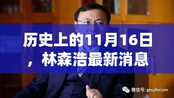 历史上的11月16日，林森浩最新消息深度解析与回顾