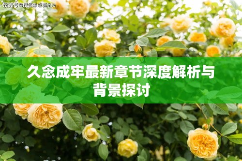 久念成牢最新章节深度解析与背景探讨