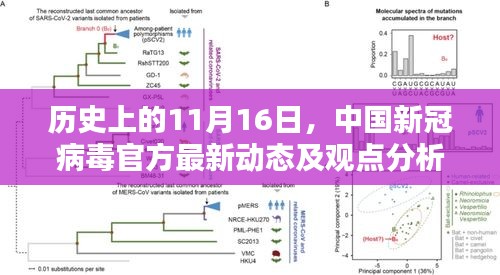 历史上的11月16日，中国新冠病毒官方最新动态及观点分析