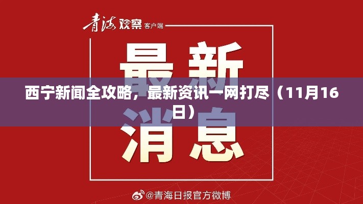 西宁新闻全攻略，最新资讯一网打尽（11月16日）