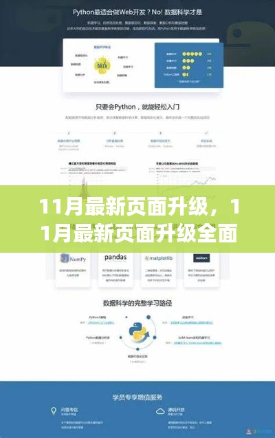 11月最新页面升级全面介绍与评测