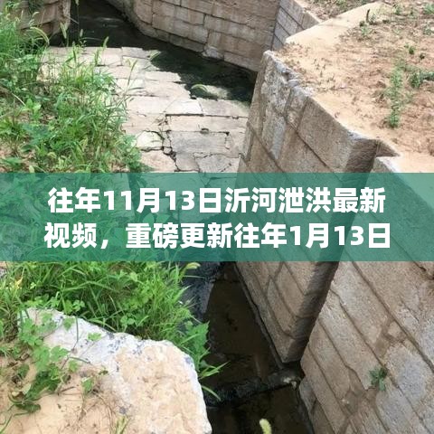 沂河泄洪实时视频，壮丽景象一览无遗，最新更新重磅呈现