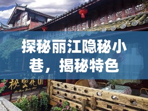 探秘丽江隐秘小巷，揭秘特色小店的非凡魅力——丽江最新公告报道