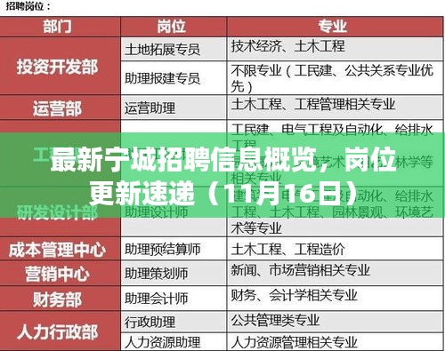 最新宁城招聘信息概览，岗位更新速递（11月16日）