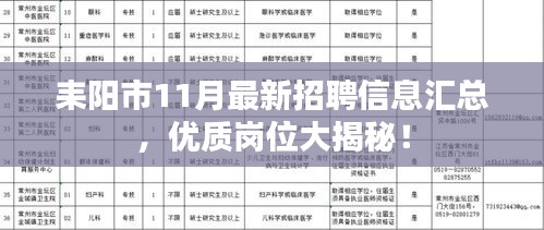 耒阳市11月最新招聘信息汇总，优质岗位大揭秘！