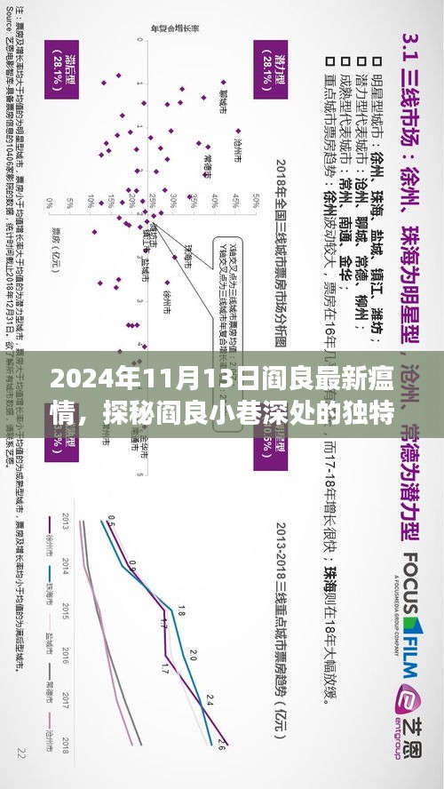 探秘阎良小巷深处的独特瘟情与美食，最新瘟情报告与美食推荐（2024年11月13日）