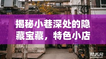 揭秘小巷深处的隐藏宝藏，特色小店探秘与11月16日新日最新款揭秘