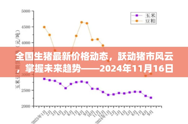 全国生猪最新价格动态，跃动猪市风云，掌握未来趋势——2024年11月16日报告