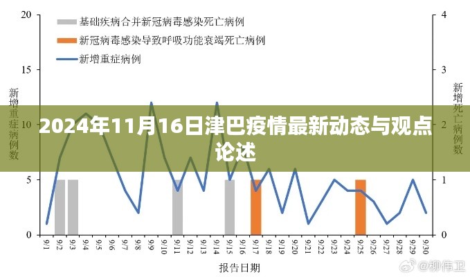 2024年11月16日津巴疫情最新动态与观点论述