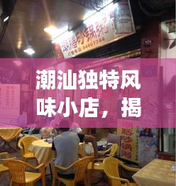 潮汕独特风味小店，揭秘隐藏版特色小店的入宅故事（2024年最新）