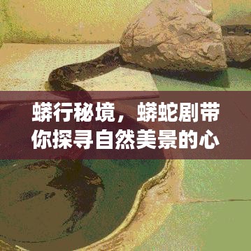 神清气朗 第4页