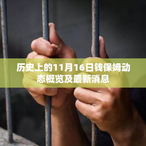 历史上的11月16日钱保姆动态概览及最新消息