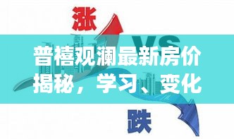 普禧观澜最新房价揭秘，学习、变化与未来的自信之旅，拥抱成就感的奇妙旅程