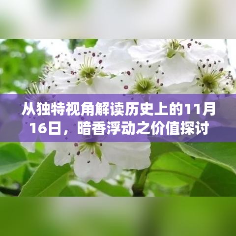 从独特视角解读历史上的11月16日，暗香浮动之价值探讨