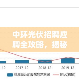 中环光伏招聘应聘全攻略，揭秘招聘流程详解，把握求职机遇！