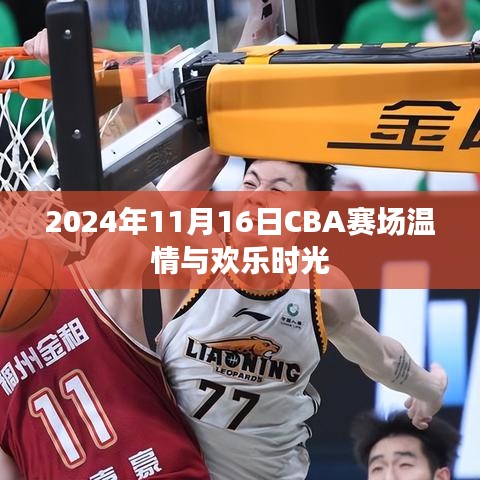 2024年11月16日CBA赛场温情与欢乐时光