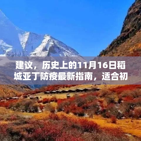 建议，历史上的11月16日稻城亚丁防疫最新指南，适合初学者与进阶用户的防疫步骤