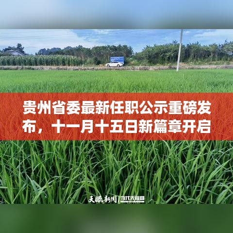 贵州省委最新任职公示重磅发布，十一月十五日新篇章开启