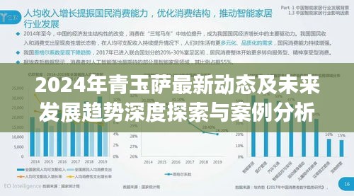 2024年青玉萨最新动态及未来发展趋势深度探索与案例分析