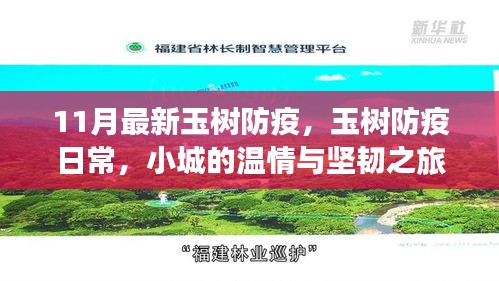 玉树防疫最新进展，小城温情与坚韧的抗疫之旅