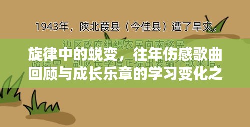 旋律中的蜕变，往年伤感歌曲回顾与成长乐章的学习变化之路