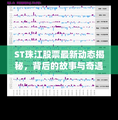 ST珠江股票最新动态揭秘，背后的故事与奇遇——2024年11月16日聚焦