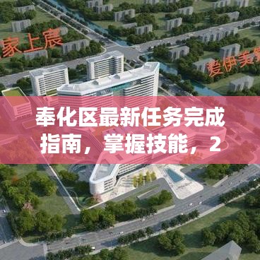 奉化区最新任务完成指南，掌握技能，2024年11月版