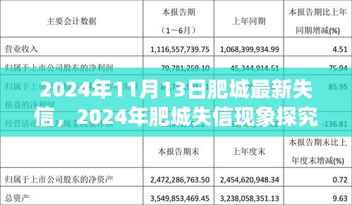 2024年肥城失信现象深度解析，原因、影响与应对策略