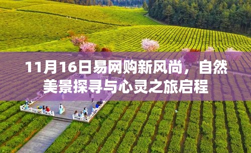 11月16日易网购新风尚，自然美景探寻与心灵之旅启程