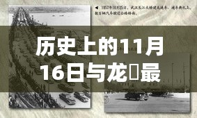 历史上的11月16日与龙堌最新信息，深度探索那些值得铭记的瞬间