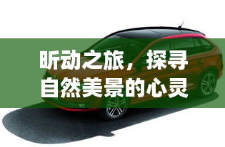 昕动之旅，探寻自然美景的心灵洗涤之旅，最新报价揭晓（2024年11月16日）