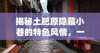 揭秘土肥原隐藏小巷的特色风情，一家神秘小店等你来探秘（11月最新）