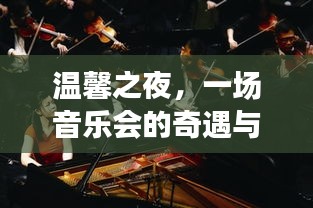 温馨之夜，一场音乐会的奇遇与情感交响——最新音乐会报道，2024年11月16日