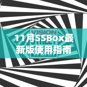 11月SSBox最新版使用指南，初学者与进阶用户必备，轻松提升技能水平